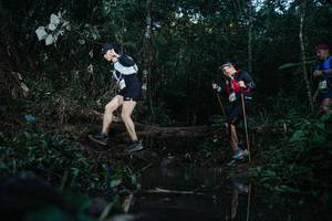 BIB: 
                            <button type="button" onclick="openModal(22442042)" class="btn btn-primary btn-sm float-right btn-popup" data-toggle="modal" data-target=".modal-high-quality">
                        <i class="fas fa-shopping-cart"></i> Add to Cart
                    </button>
                                            <button type="button" onclick="isThisMe(22442042, true)" class="btn btn-success btn-sm float-right btn-popup btn-isme hidden" data-toggle="tooltip" data-placement="bottom" title="นี่คือรูปของคุณใช่ไหม คลิกที่นี่เพื่อเอาเข้าอัลบั้ม">
                        <i class="fas fa-plus"></i> Add to album
                    </button>
                    <button type="button" onclick="isThisMe(22442042, false)" class="btn btn-warning btn-sm float-right btn-popup btn-isnotme hidden">
                        <i class="fas fa-ban"></i> Remove from album
                    </button>